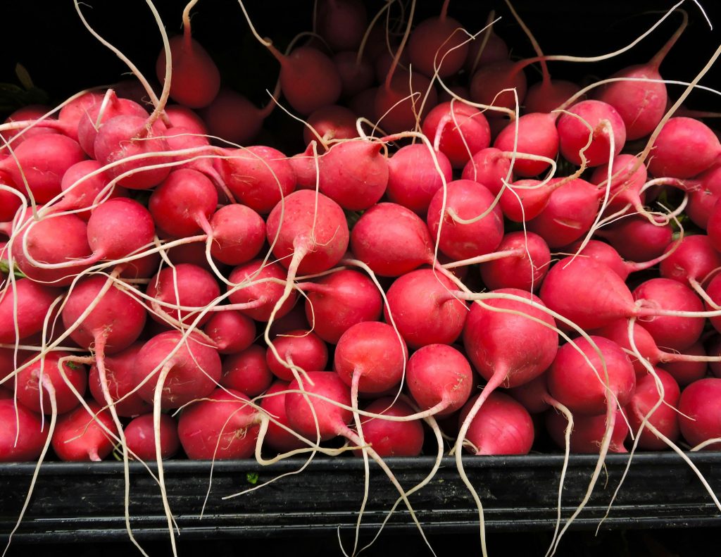 a pile of radishes
