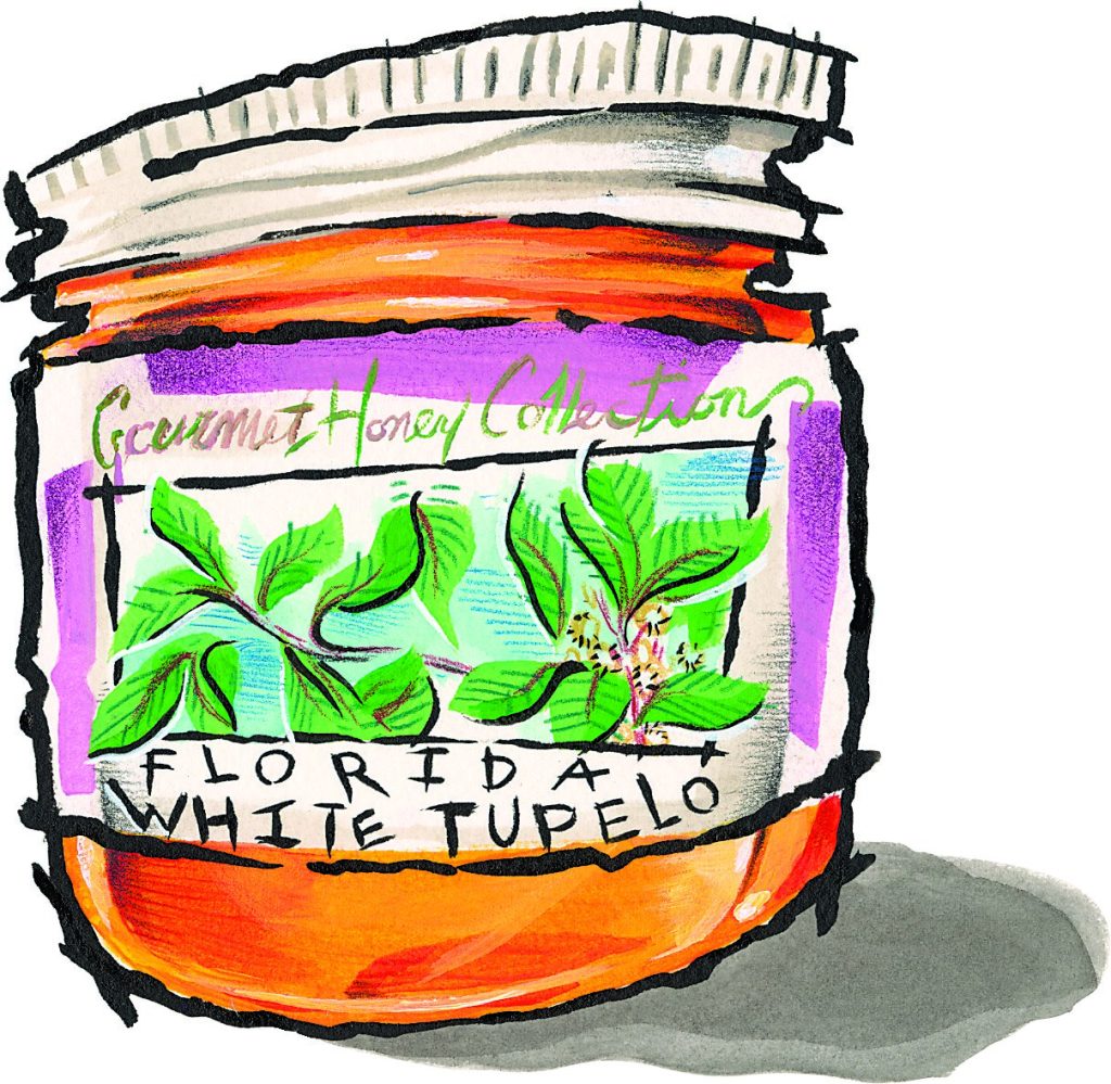 an illustration of a jar of tupelo honey
